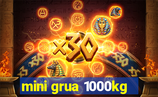 mini grua 1000kg